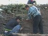 Археологическая практика