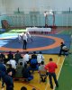 В СКГУ прошли соревнования по казакша курес «Университет барысы»