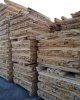 СҚО орман пайдаланушылар кәсіпорындарында студенттерге өндірісте сабақ өткізілді