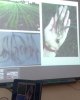 «Қозыбаев оқулары-2018» халықаралық ғылыми-тәжірибелік конференциясы аясында «Ауыл шаруашылығы ғылымдары» секциясының отырысы
