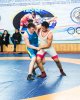 Кубок ректора СКГУ им. М. Козыбаева  по греко-римской борьбе