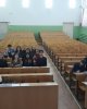 Логопедия бойынша пәндік олимпияда