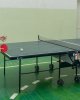 Соревнования по настольному теннису