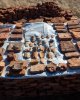 Солтүстік Қазақстан облысының Уәлиханов ауданында археологтар жаңа ашылым жасады
