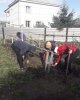 Жастар болмаса кім?