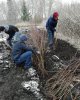 Студенческая аллея