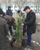 Студенческая аллея