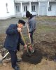 Студенческая аллея