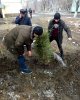 Студенческая аллея