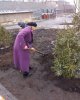 Студенческая аллея