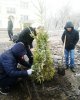 Студенческая аллея