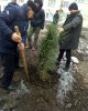Студенческая аллея