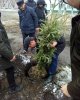 Студенческая аллея