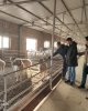 Встреча заведующего кафедры "Агрономия и лесоводство" АФ с проректором Университета Сельского и Лесного хозяйства Северо-Западного Китая.