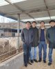 Встреча заведующего кафедры "Агрономия и лесоводство" АФ с проректором Университета Сельского и Лесного хозяйства Северо-Западного Китая.