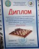 Поздравляем с победой в шахматном турнире 2020