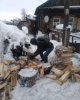 Аға ұрпаққа көмекке!