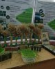 Кәсіптік бағдар беру көрмесі