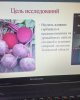 Международный круглый стол студенческих научных обществ «Перспективы развития студенческих исследований» с участием вузов РФ и Белоруссии