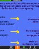 ZOOM алаңында  республикалық вебинар өтті