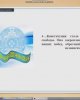 Онлайн-круглый стол, посвященный Дню Конституции РК