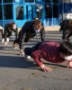 В здоровом теле - здоровый дух!