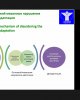 IХ международная научно-практическая конференция «Актуальные проблемы естественных наук» 