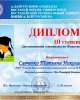 Призеры олимпиады