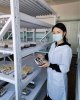 Кампуста жасыл орта құру бойынша байқау