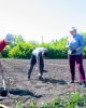 Қозыбаев университеті ҚазЕжӨШҒЗИ ғылыми жобасына қатысты