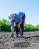 Қозыбаев университеті ҚазЕжӨШҒЗИ ғылыми жобасына қатысты
