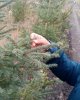 Кафедра бөлімшесінде көшпелі сабақ