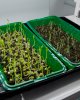Студенттер 1 400 000 теңге грант жеңіп алды