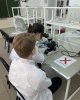 Проект