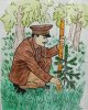 Орман шаруашылығы қызметкерлерінің күні