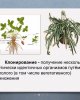 Агротехнологический факультет. Неделя качества
