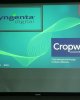 Syngenta семинары