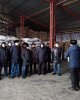 Серіктес кәсіпорындар базасындағы сабақтар