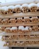 Серіктес кәсіпорындар базасындағы сабақтар