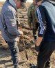 «Жасыл Қазақстан» ұлттық жобасын іске асыру