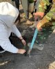 «Жасыл Қазақстан» ұлттық жобасын іске асыру