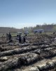 «Жасыл Қазақстан» ұлттық жобасын іске асыру