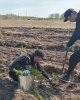 "Ағаш отырғыз" экологиялық акциясы