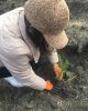"Ағаш отырғыз" экологиялық акциясы