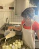 Профессиональная практика в органически сертифицированной компании по производству козьего сыра и йогурта.