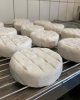 Профессиональная практика в органически сертифицированной компании по производству козьего сыра и йогурта.