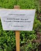 Дала күні