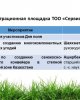 Дала күні