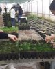 "Тәжірибе" айдарынан