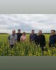 День поля на АФ